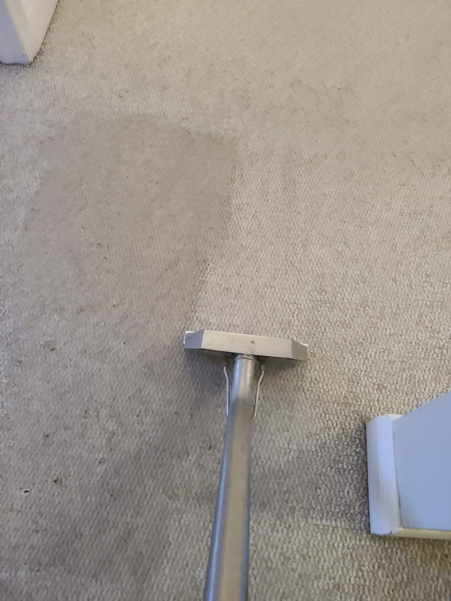 Nettoyage de tapis 