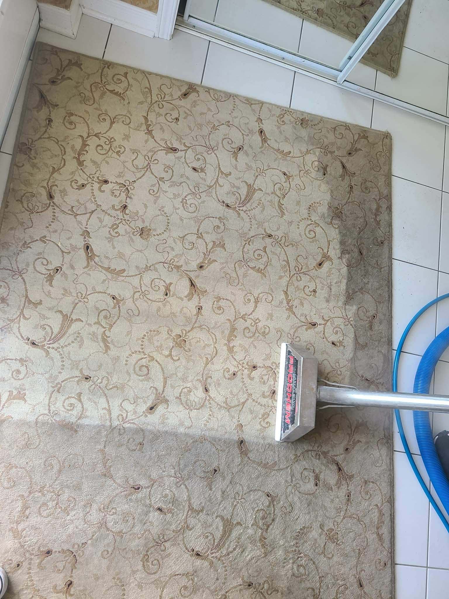 Nettoyage de carpette
